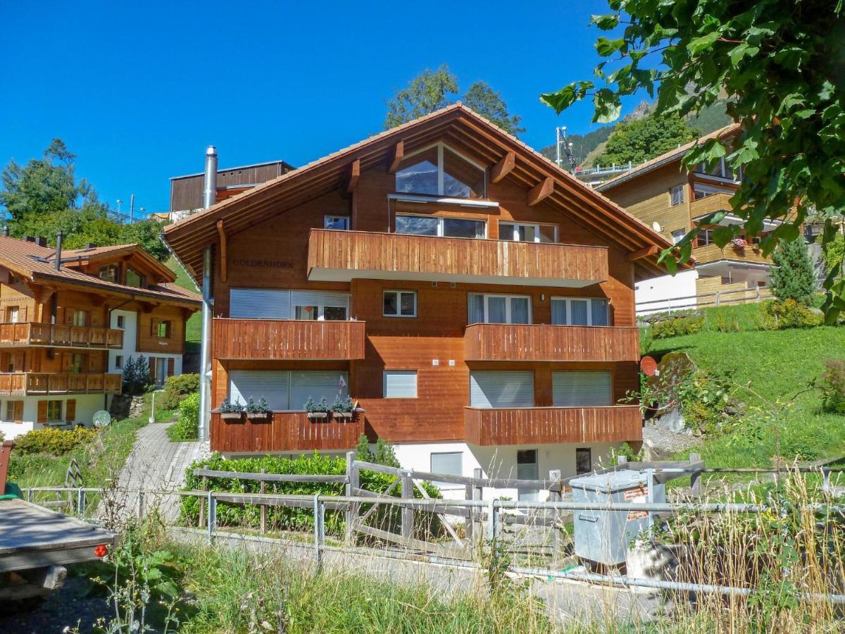 Apartment Goldenhorn Apt-F By Interhome Wengen