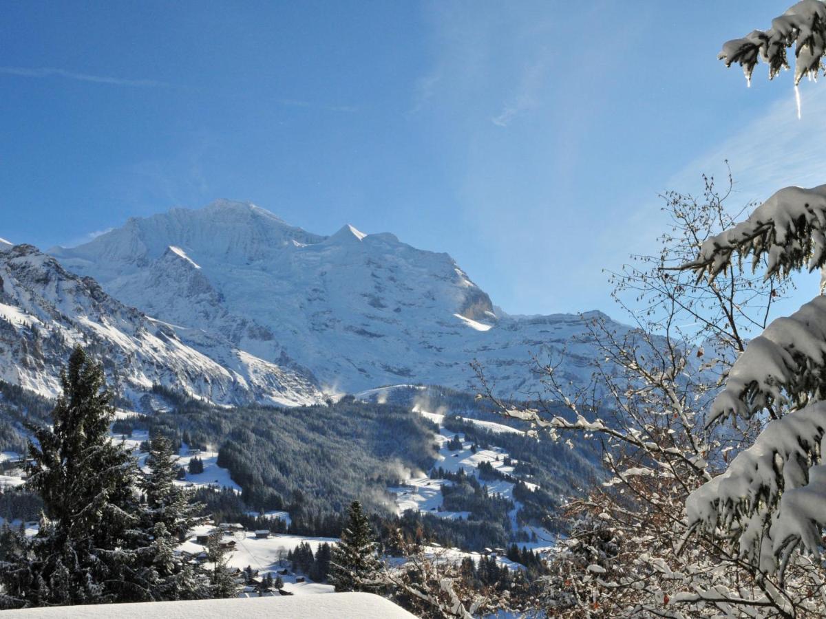 Apartment Apartment Goldenhorn Apt-F By Interhome Wengen