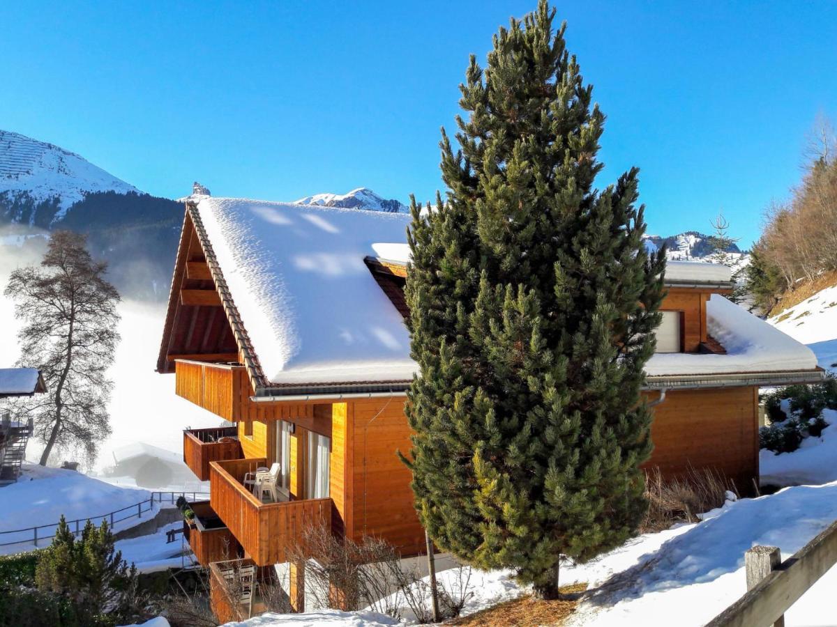 Apartment Goldenhorn Apt-F By Interhome Apartment Wengen